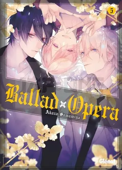 Nouveauté BALLAD OPERA - TOME 05