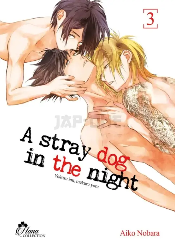 Top Vente STRAY DOG IN THE NIGHT - TOME 03 - LIVRE (MANGA) - YAOI - HANA COLLECTION