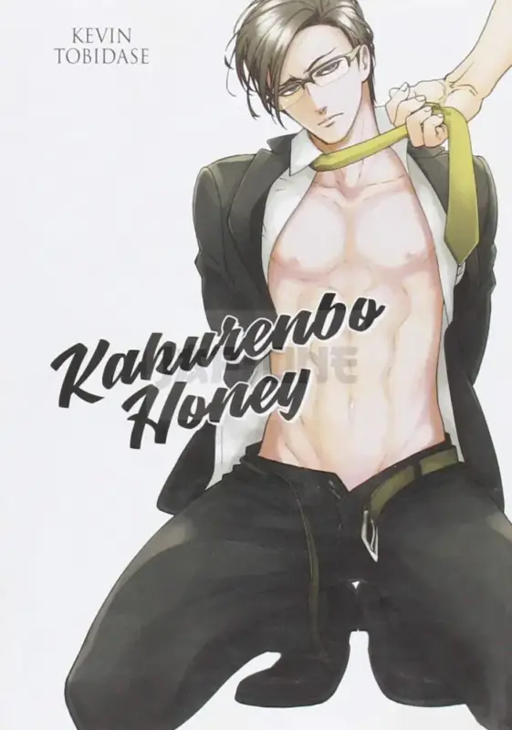 Achetez Aujourd&rsquo;hui KAKURENBO HONEY – LIVRE (MANGA) – YAOI – HANA COLLECTION