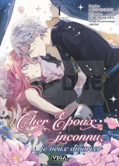 Bon Plan CHER ÉPOUX INCONNU, JE VEUX DIVORCER - TOME 1